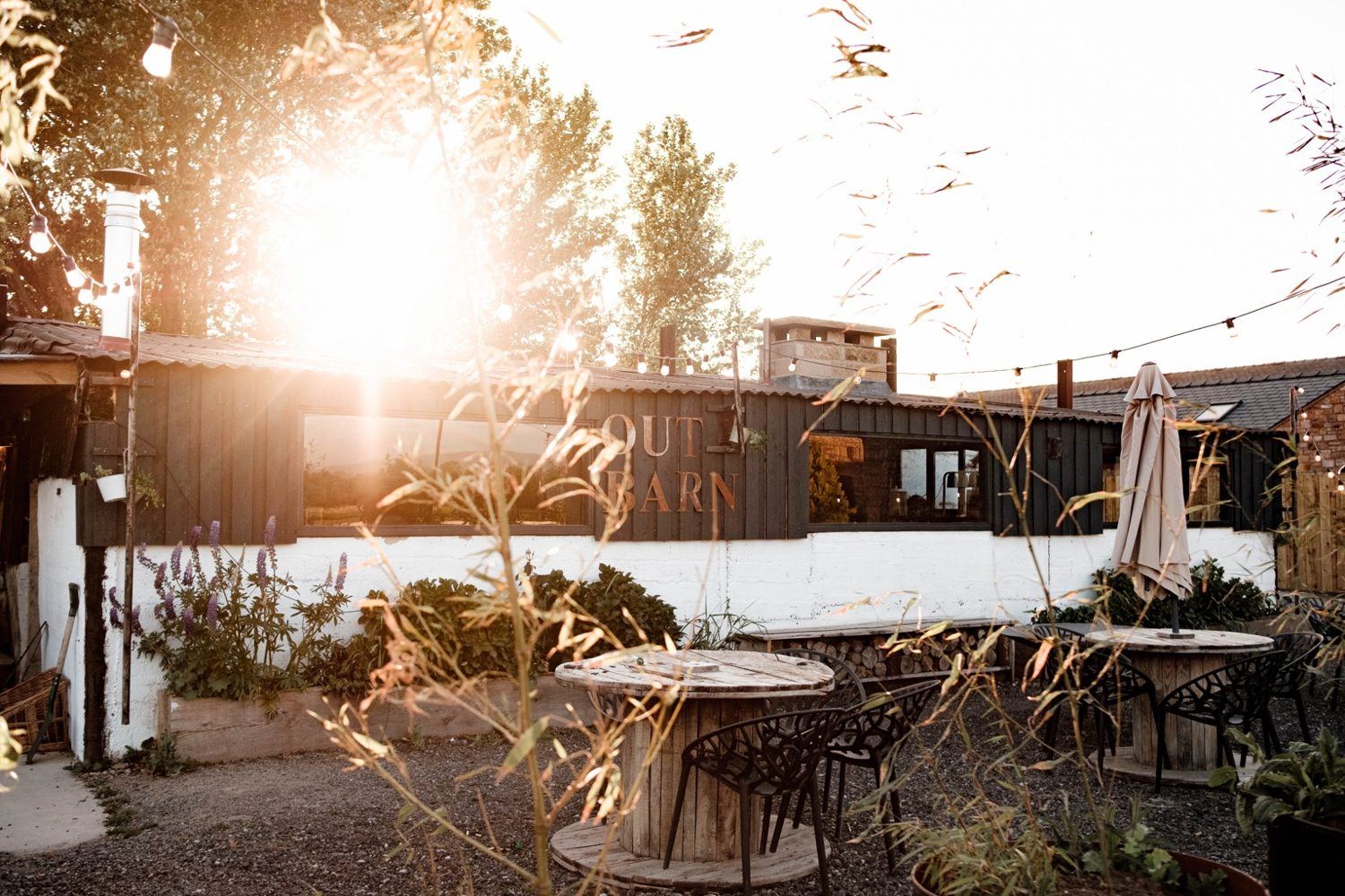 The leafy courtyard at Patty’s Barn