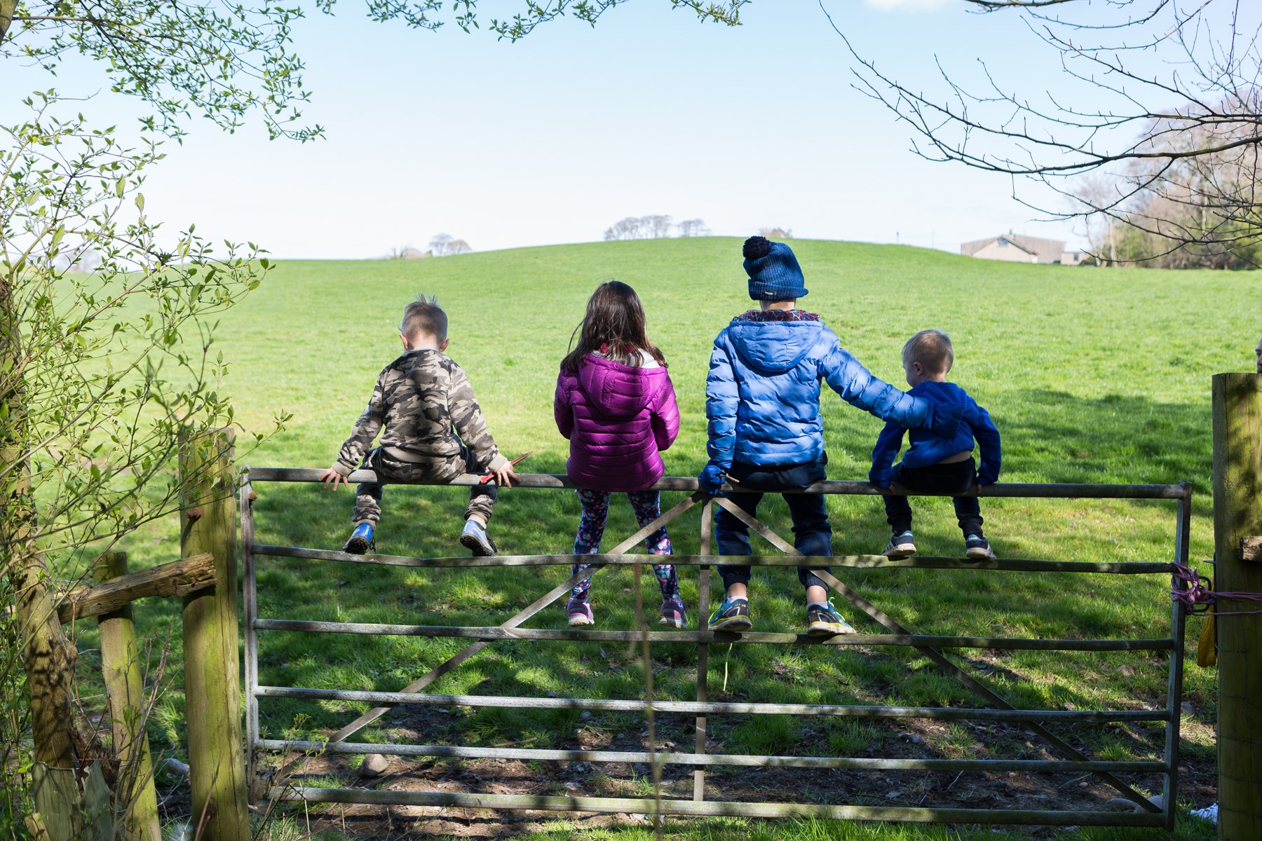 Four children looking out across a green field from a countryside gate