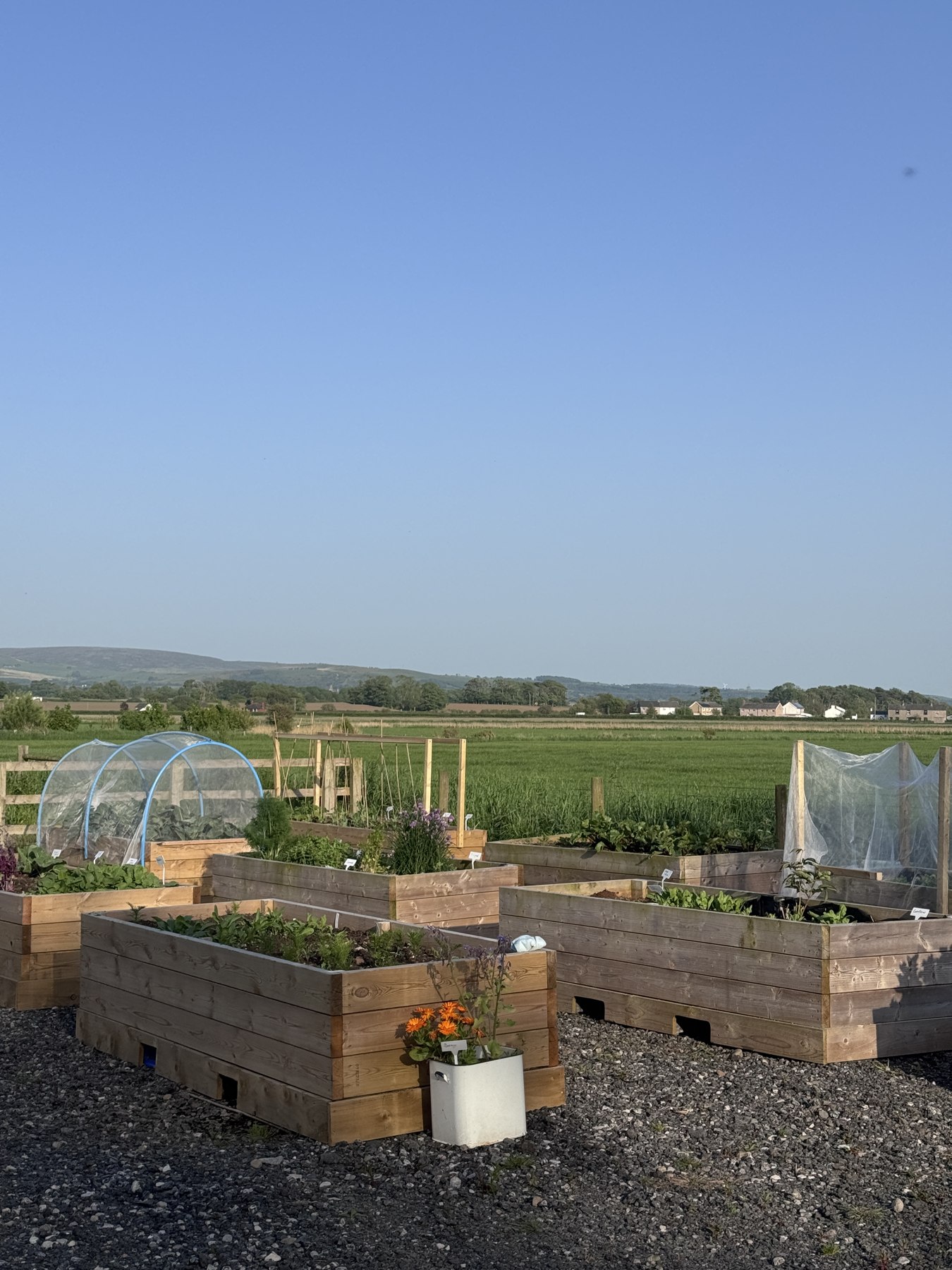 Raised planting beds in Patty’s Barn’s little allotment, with countryside views beyond