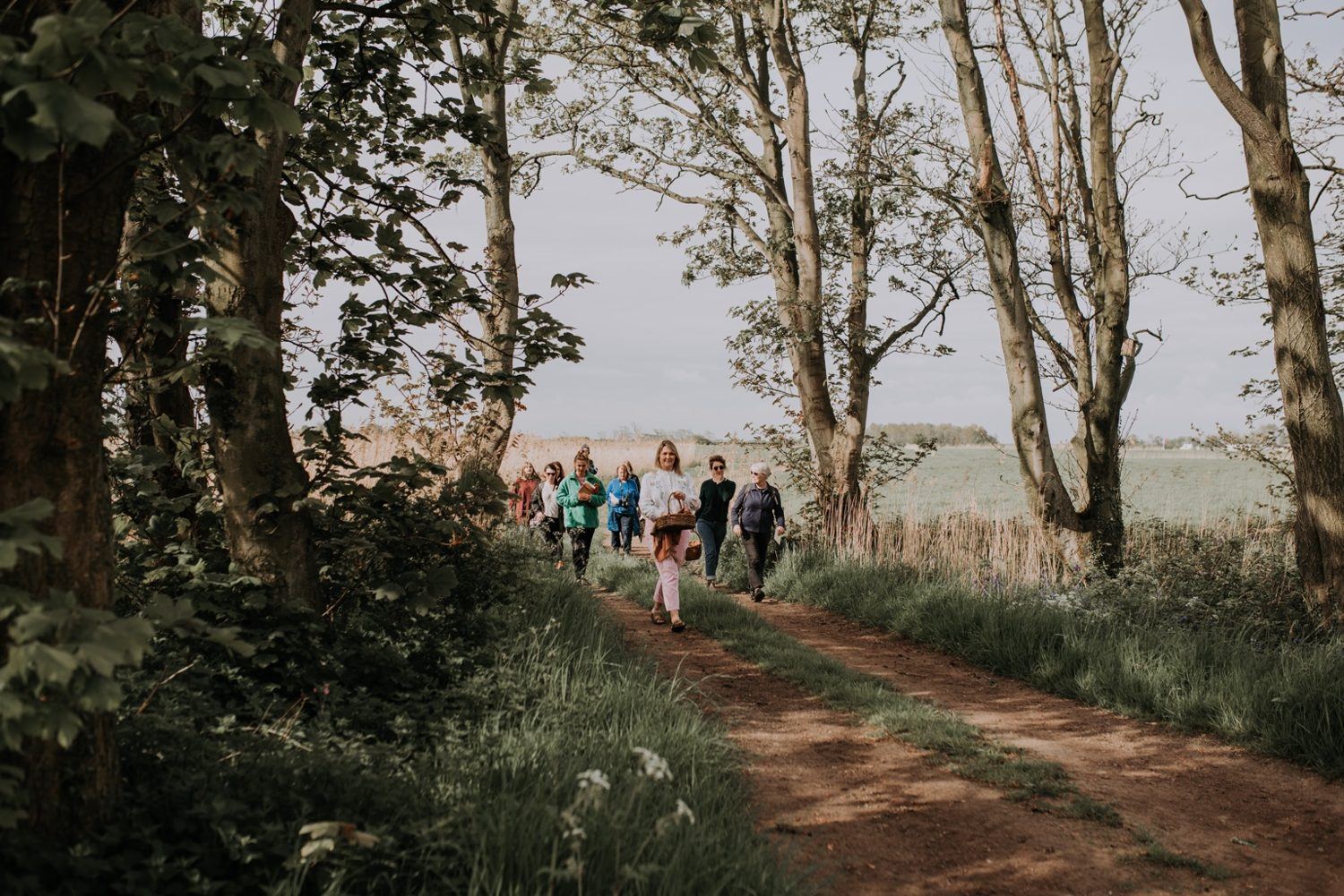 A woodland path at Patty’s Barn